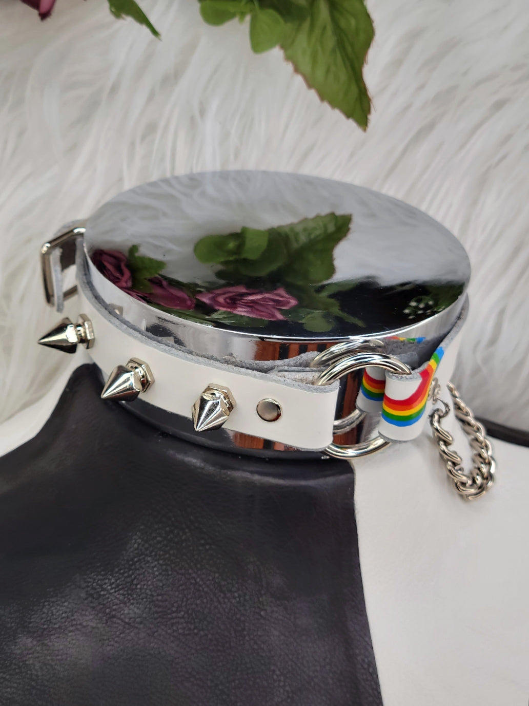 The Gay Mug Collar