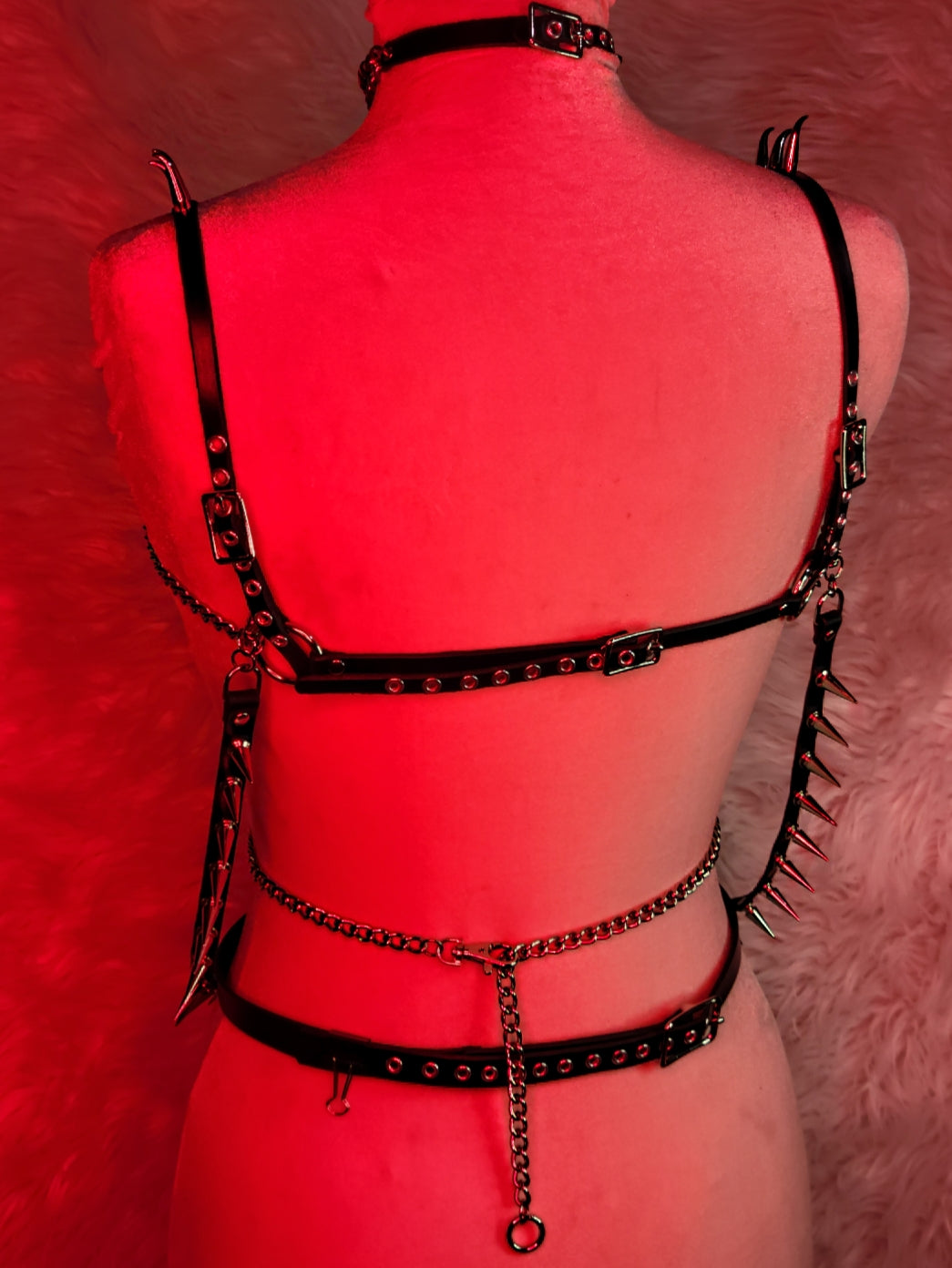 Verlin Detachable Collar-Harness