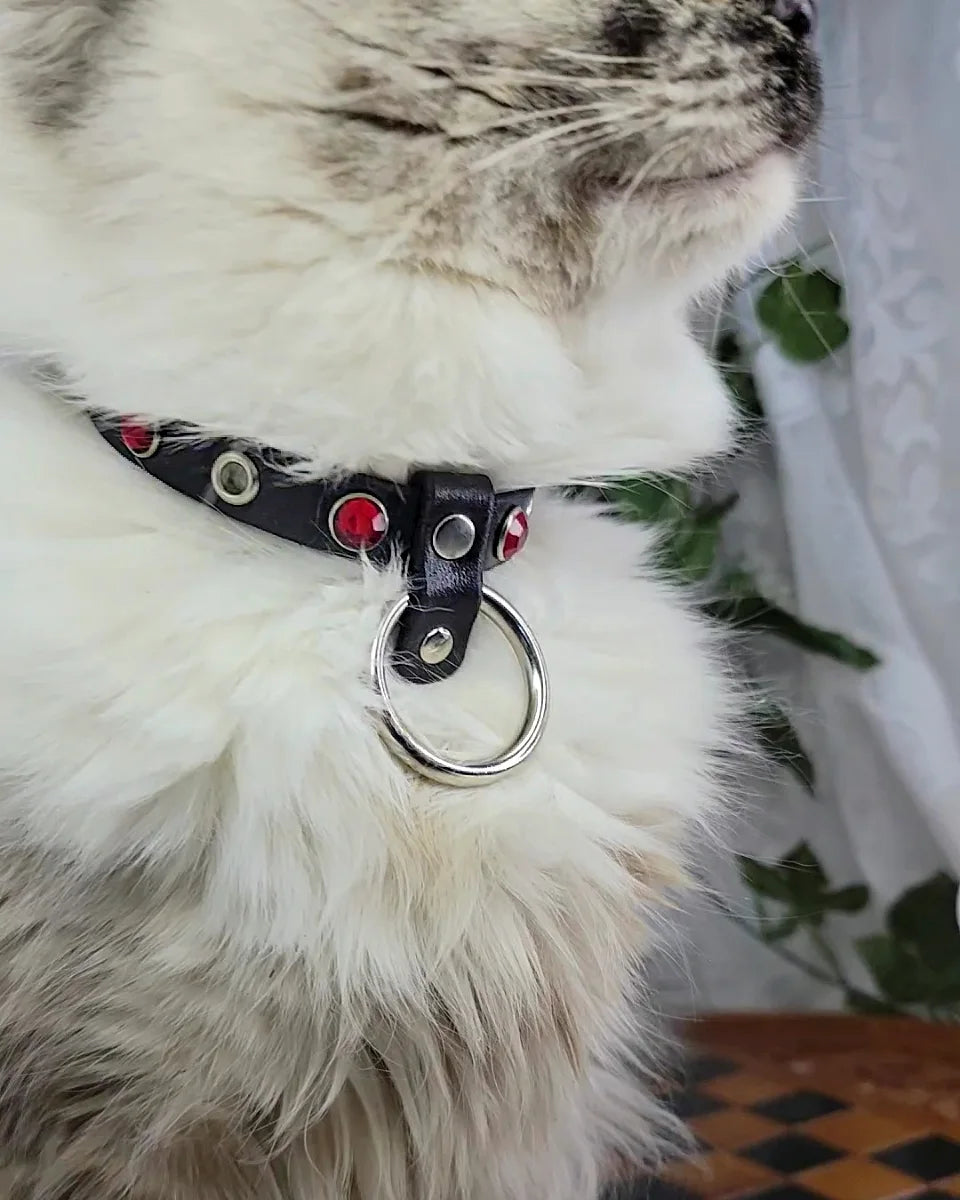 Lilith Cat Collar